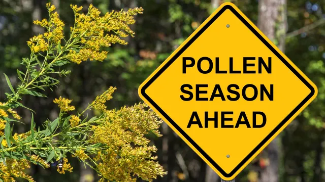 How to Allergy-Proof Your Home This Spring!
